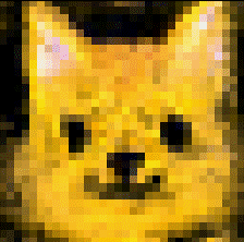 Neural Cellular Automata visualization